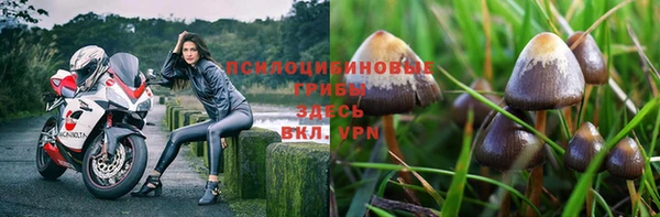эйфоретик Абдулино