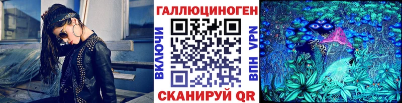 Псилоцибиновые грибы GOLDEN TEACHER  закладка  Новотитаровская 